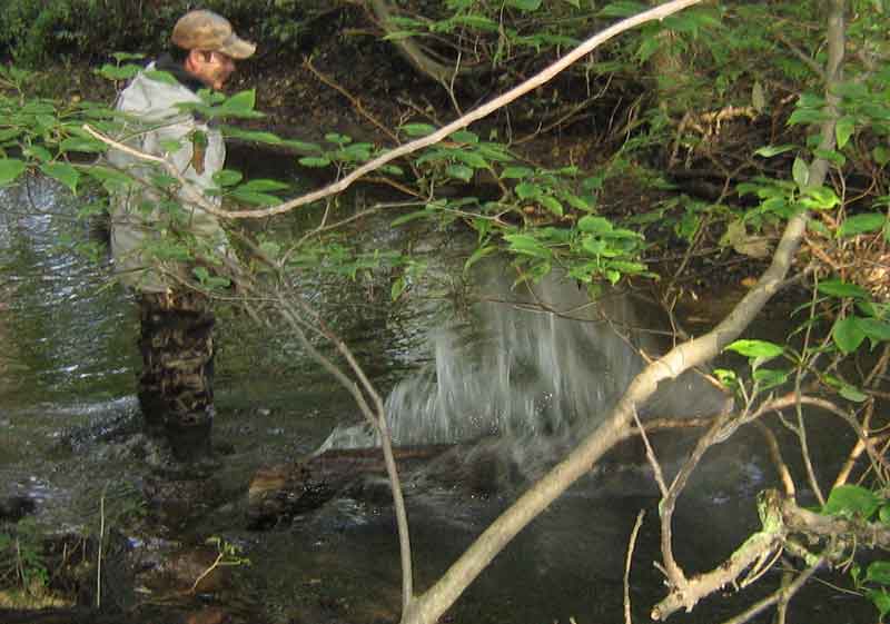 Jeremy Splashed